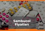 Sambucol Fiyat 2021, Sambucol Tablet / Efervesan Eczane Fiyatı, sambucol nedir ne işe yarar, sambucol zamlı fiyatı ne kadar kaç tl