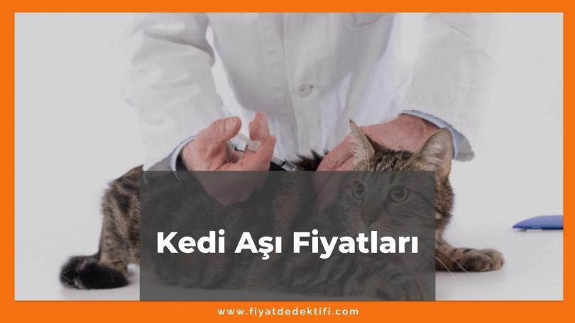 Kedi Aşı Fiyatları 2021, Kediler için Karma-Kuduz-Mantar-Lösemi Aşısı Fiyatı, kedi aşı fiyatları ne kadar kaç tl oldu güncellendi mi