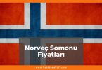 Norveç Somon Fiyat 2021, Norveç Somonunun KG Fiyatı, norveç somon fiyat ne kadar kaç tl oldu zamlandı mı güncellendi mi